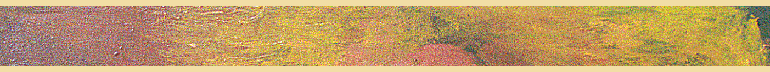 color banner